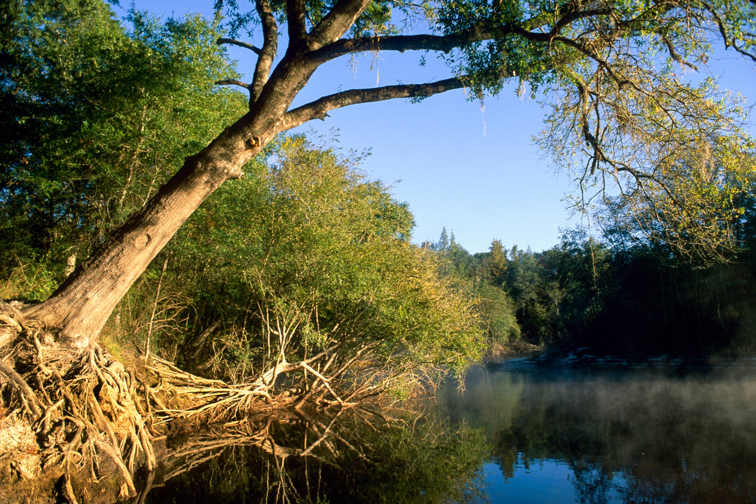 View of St. Marys River from the shore