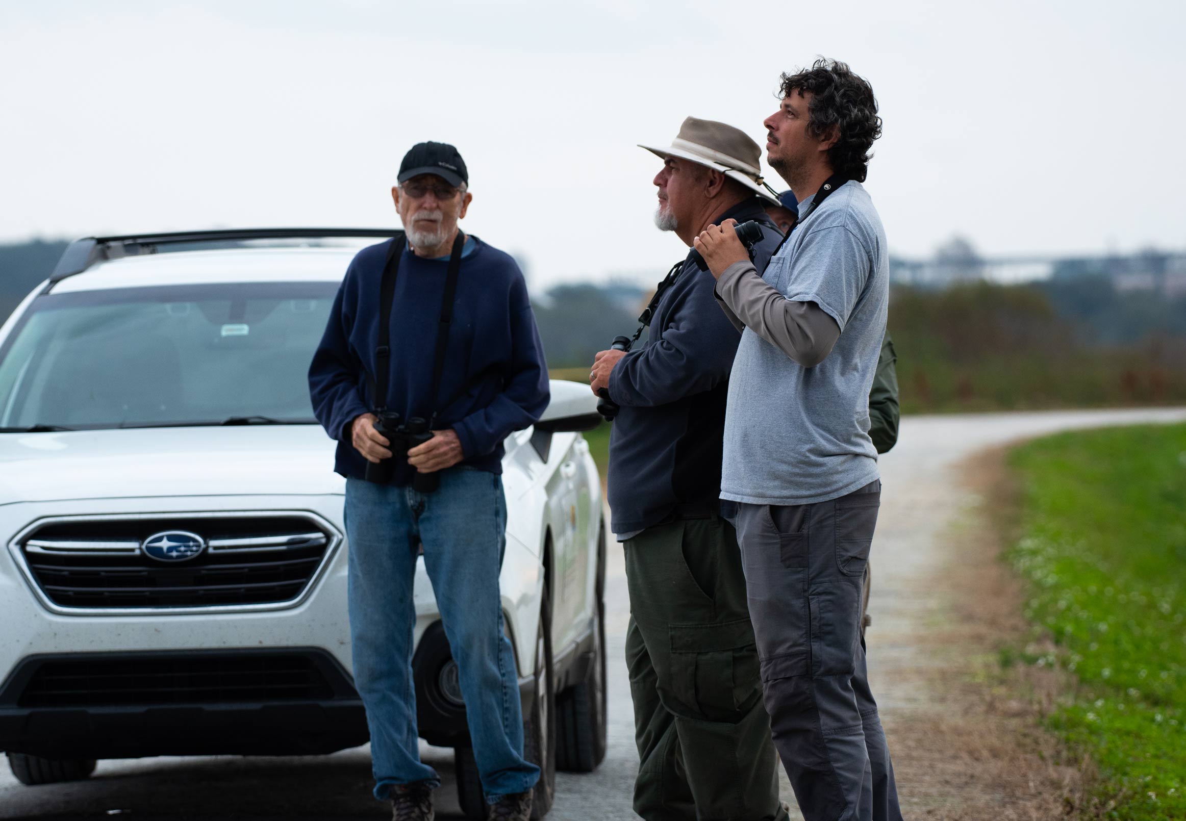 District staff and volunteers looking for birds