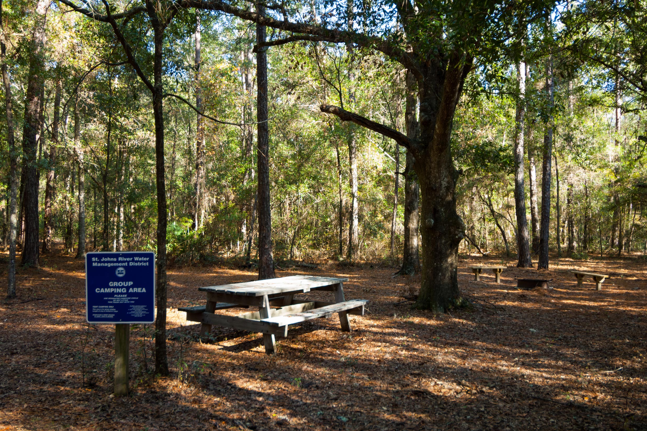 group campsite in Black Creek Ravine
