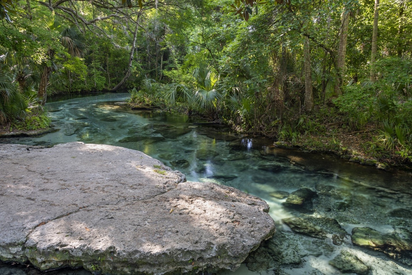 Rock Spring Run