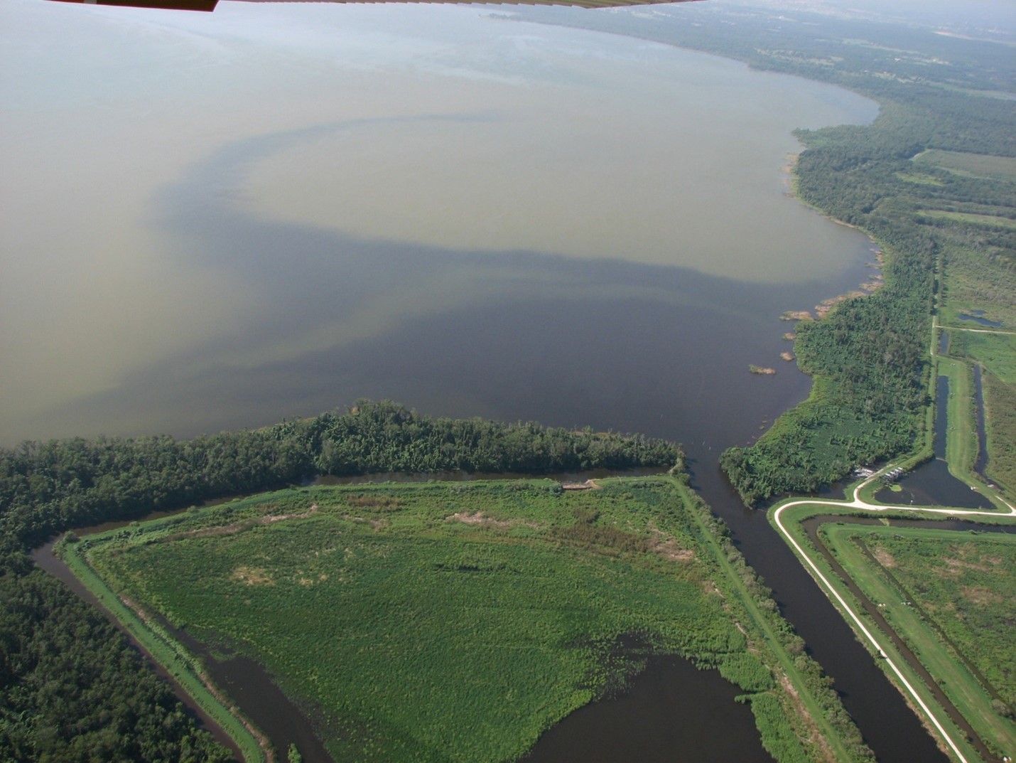 A plume of filtered water returns to Lake Apopka as seek from above
