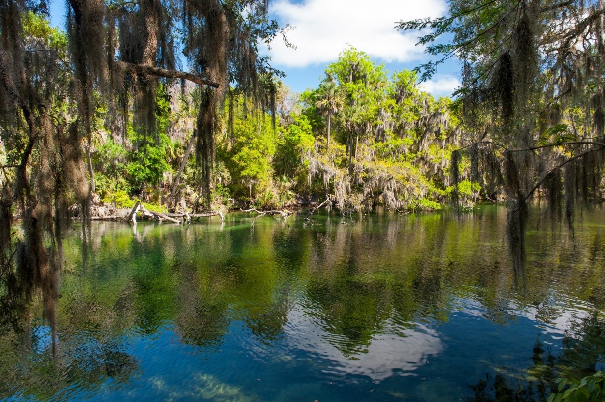 freshwater spring