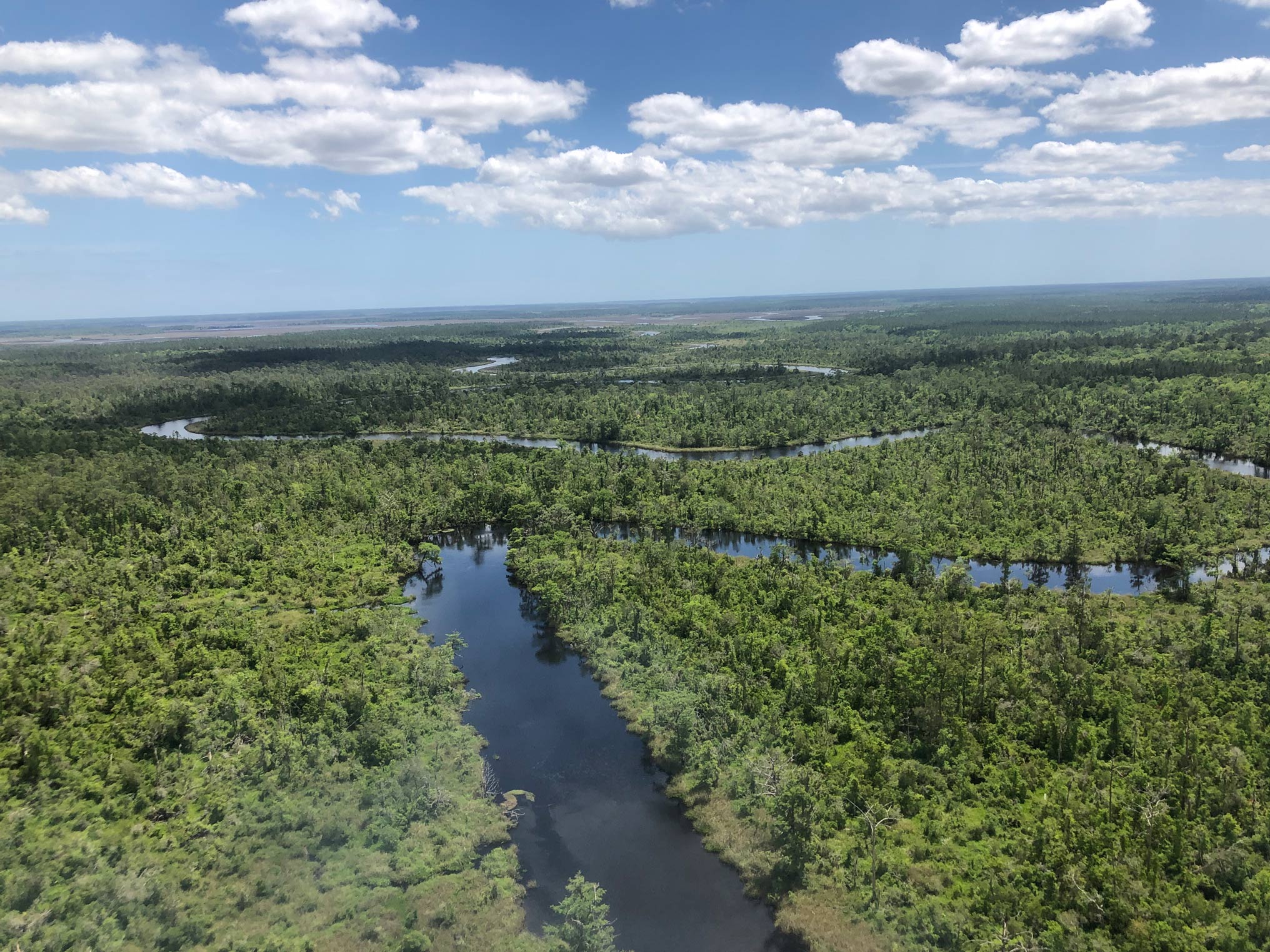 Thomas Creek as seen from a bird’s point of view.