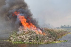Prescribed fires help with environmental stewardship