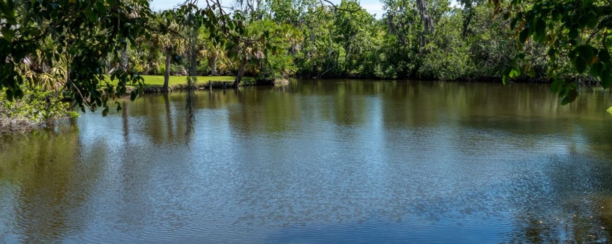 Crane Creek from the shore