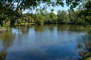 Crane Creek from the shore