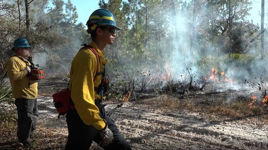 Two district employees walking in front of a fire
