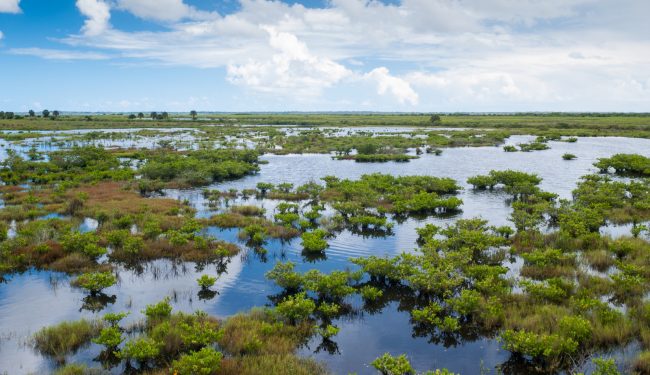 Scenic view from observation tower at Black Point Wildlife Drive