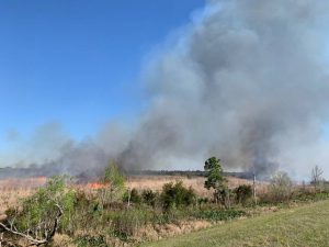 Prescribed fire in a grass flied