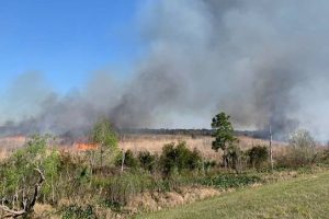 Prescribed fire in a grass flied