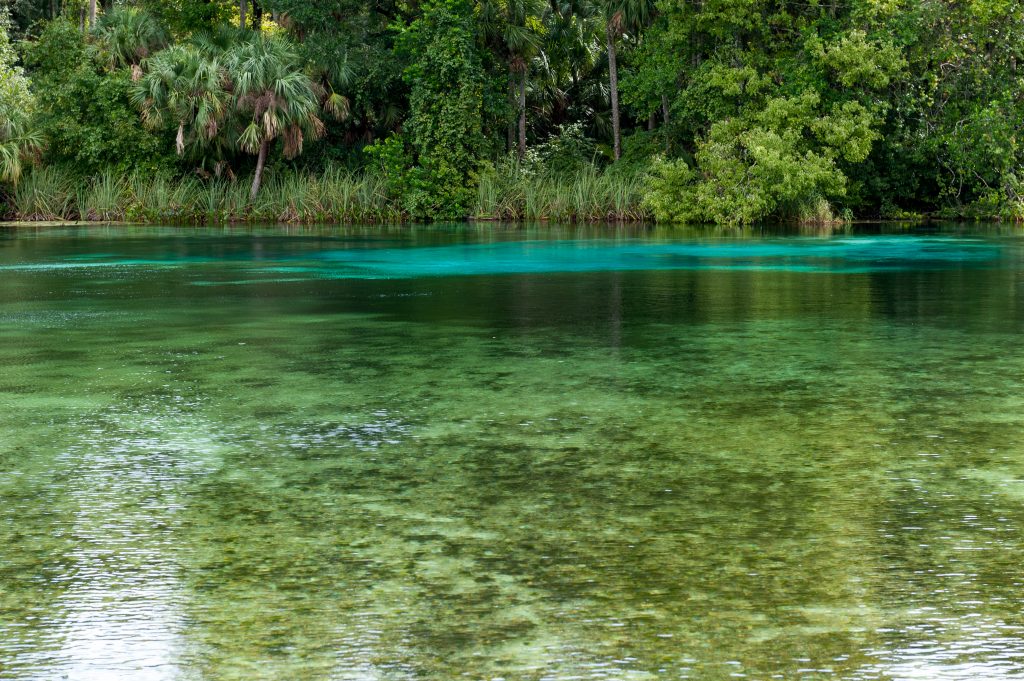 Alexander Springs