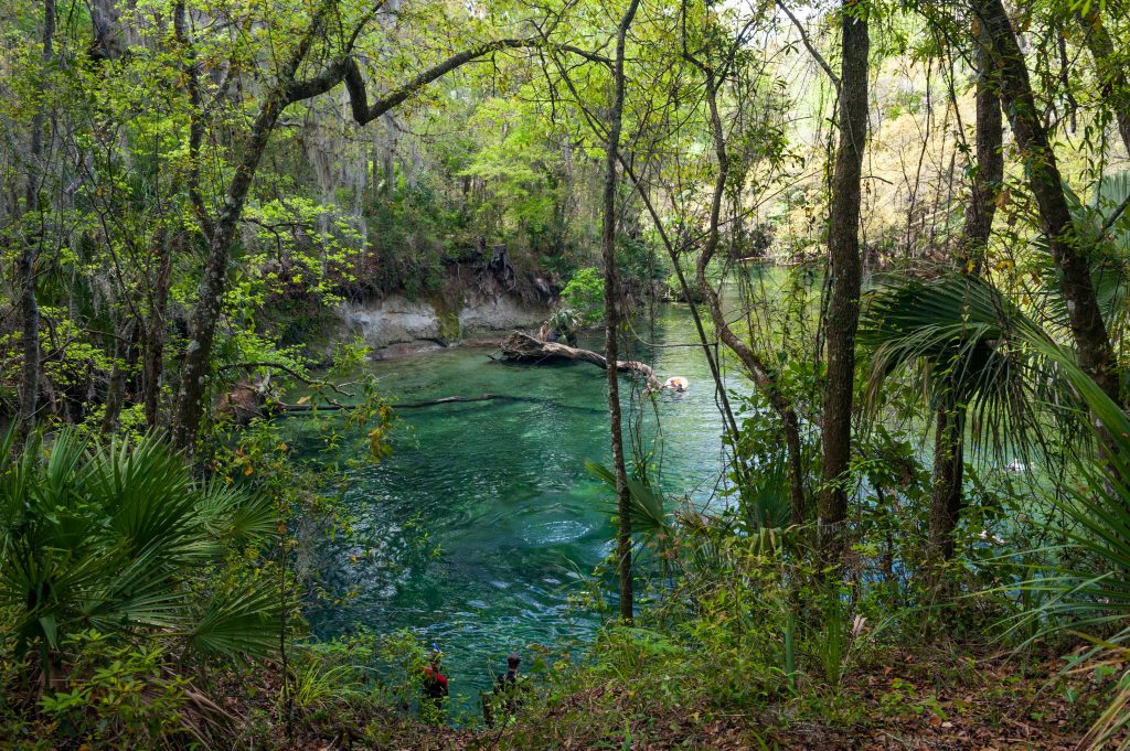 Volusia Blue Spring in Volusia County