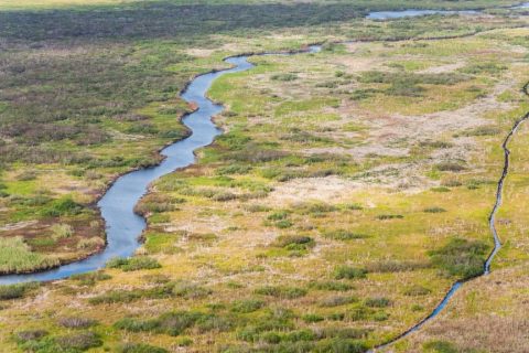 Aerial of a winding stream