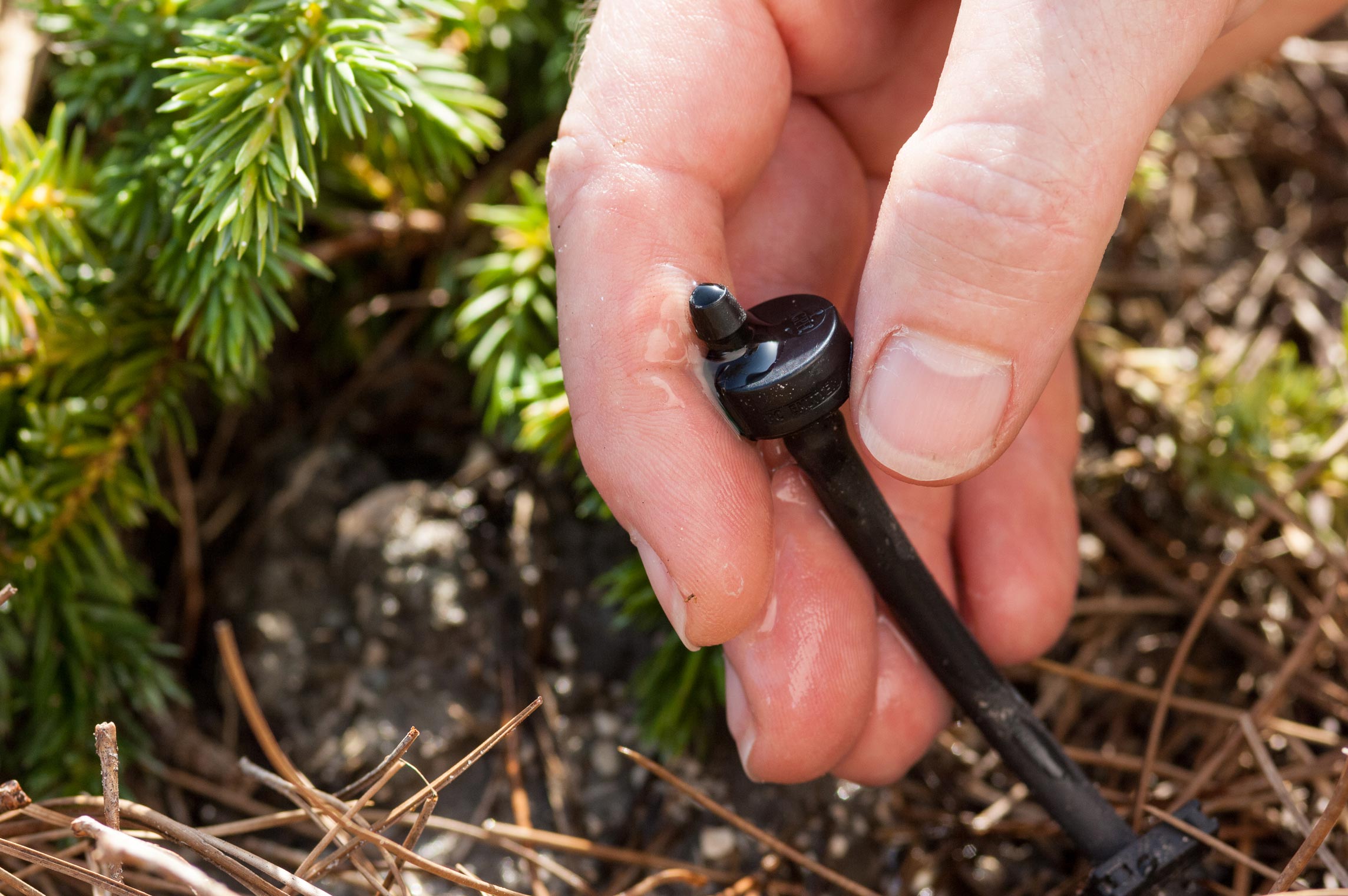 Drip irrigation spout