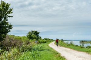 A bicyclist enjoys a ride along a path