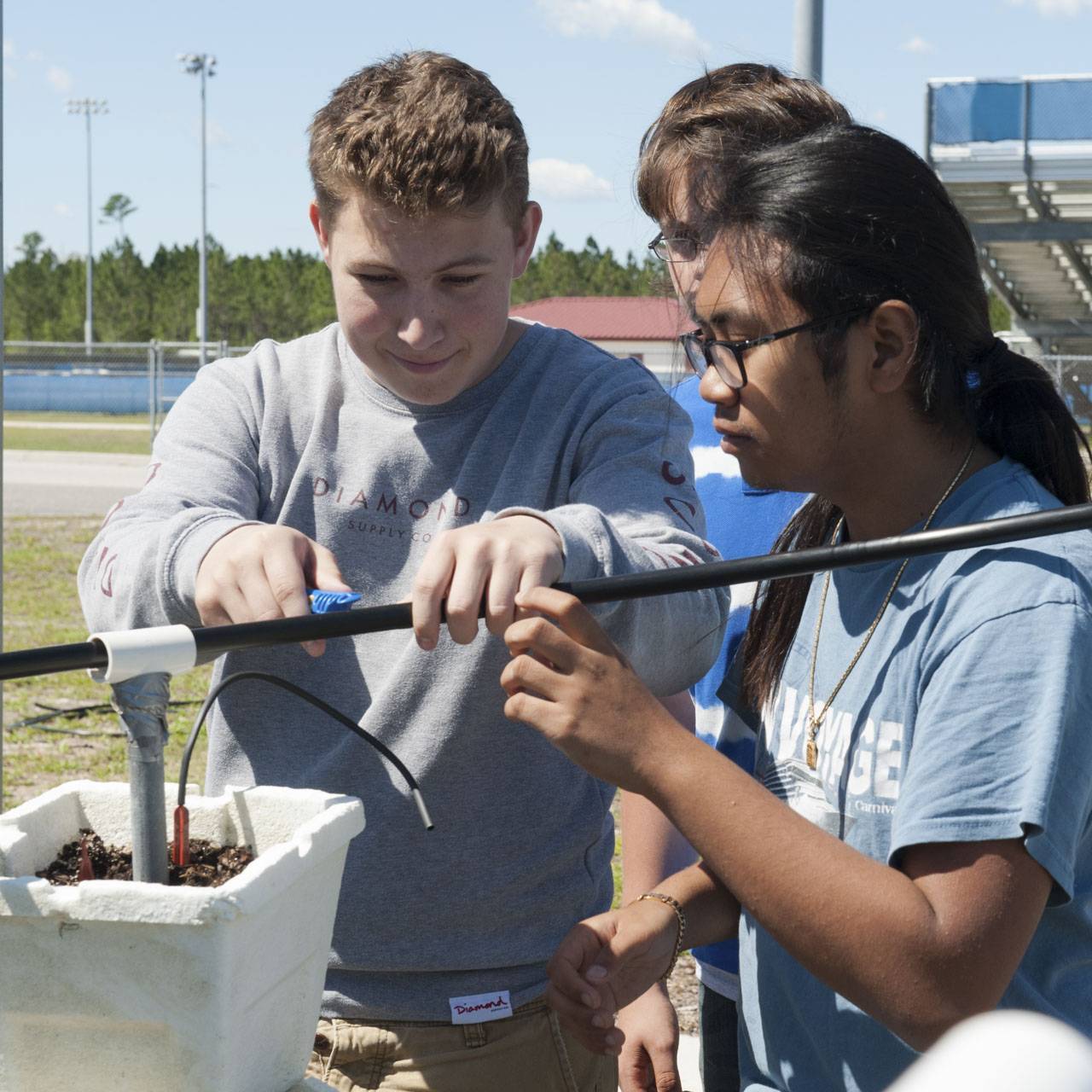 Students learning about the water needs of plant