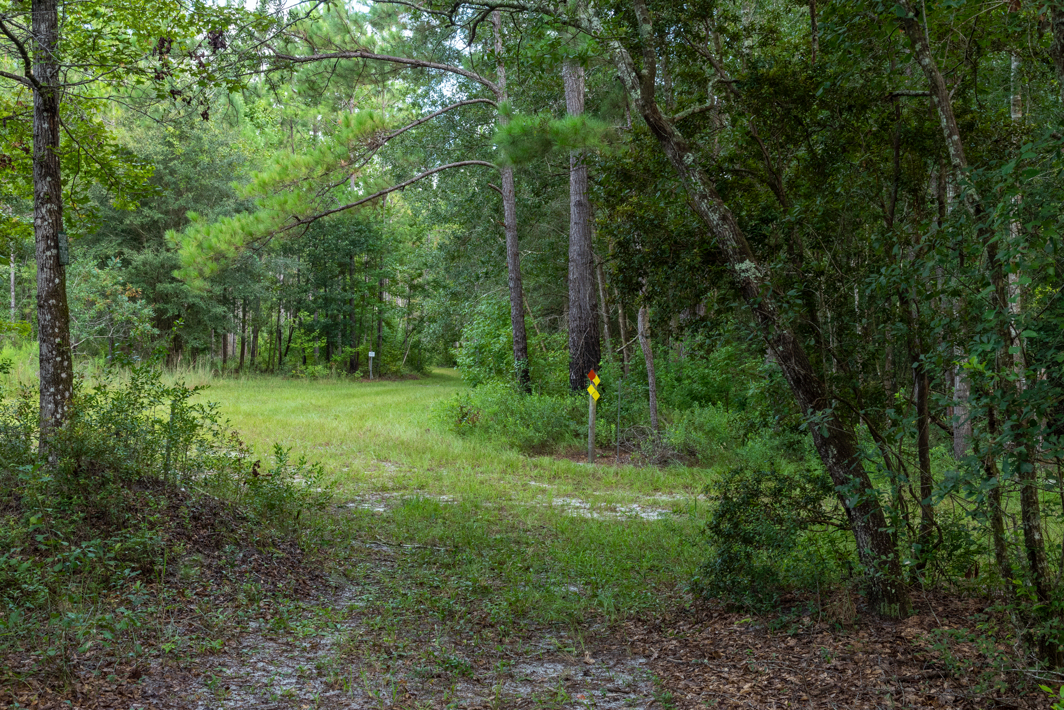 wild scenic trail