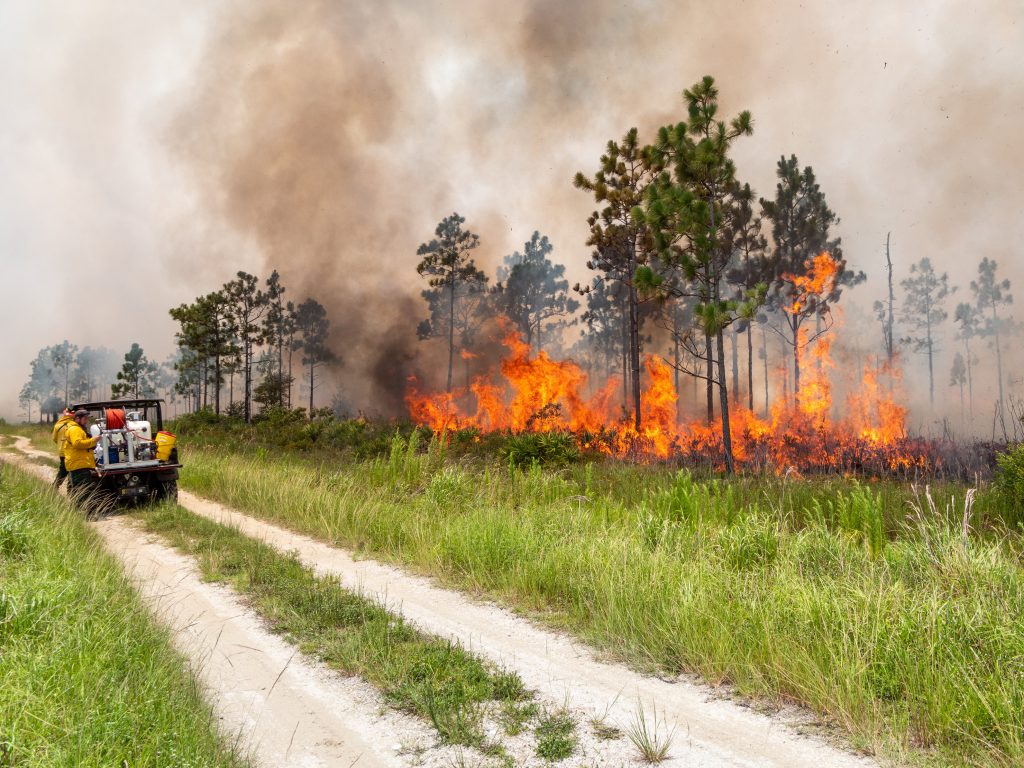 District workers driving on a path near a fire