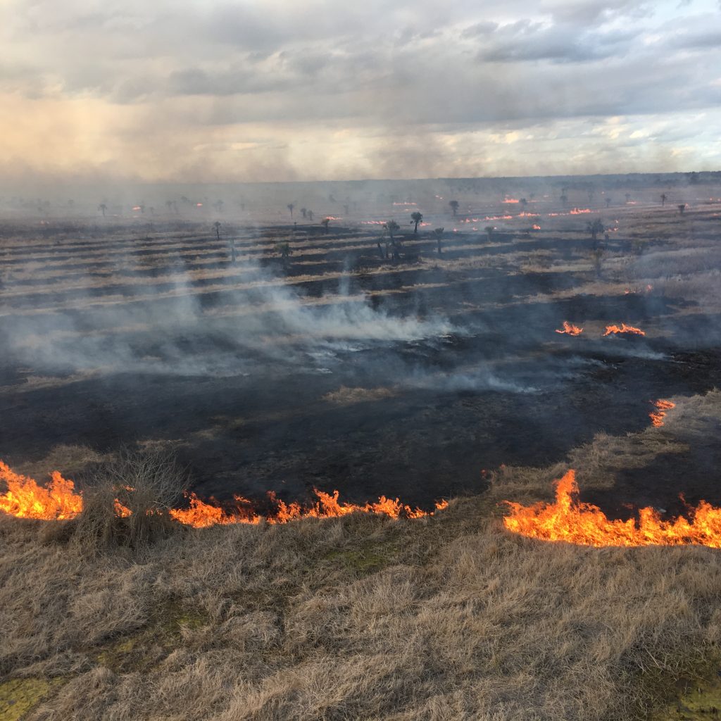 Aerial of a prescribe fire in the Upper St. Johns River Basin