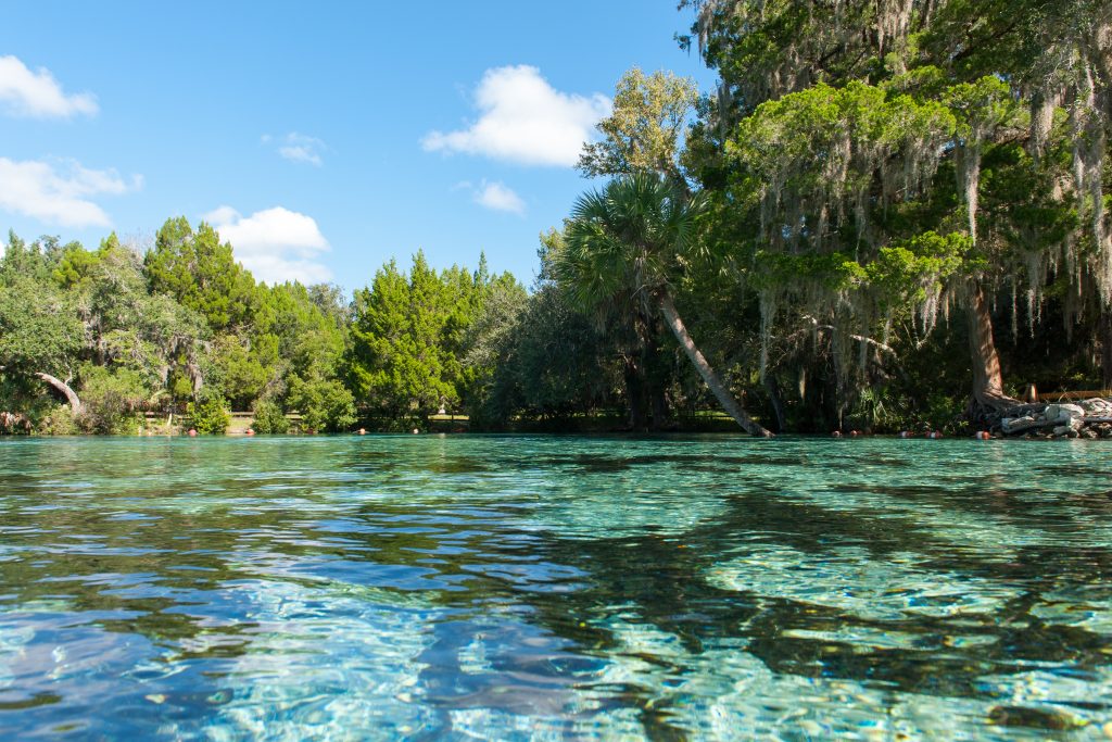 Silver Glen Springs