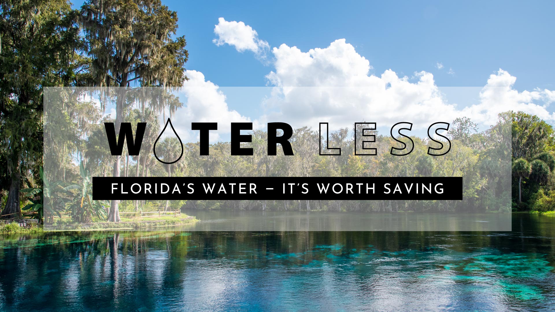 Water less web banner for 2023