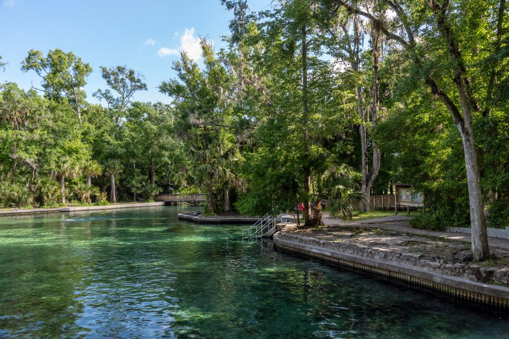 Wekiwa Spring