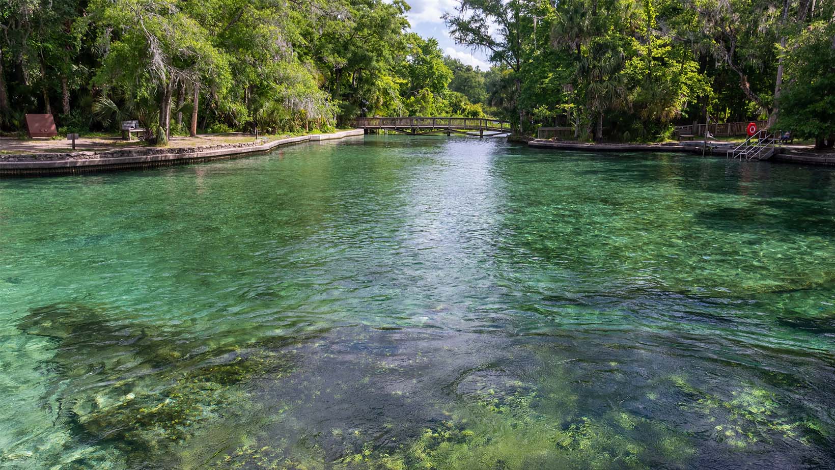 Wekiwa Springs