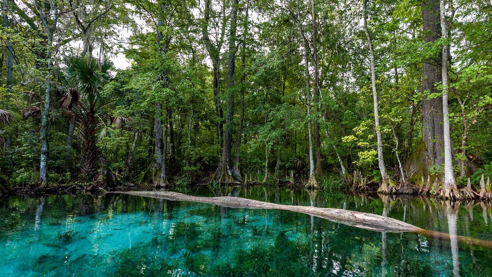 Silver Springs