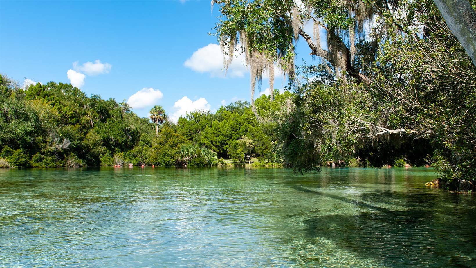 Silver Glen Springs
