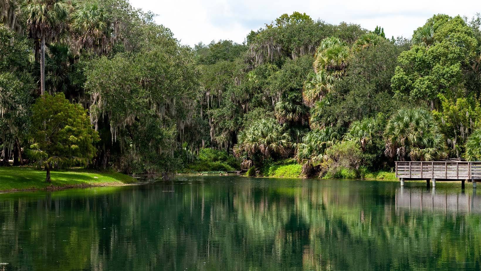 Gemini Springs