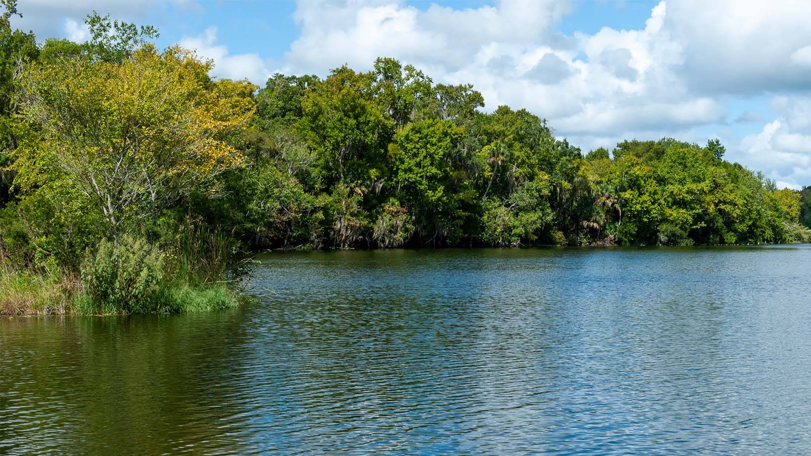 De Leon Springs