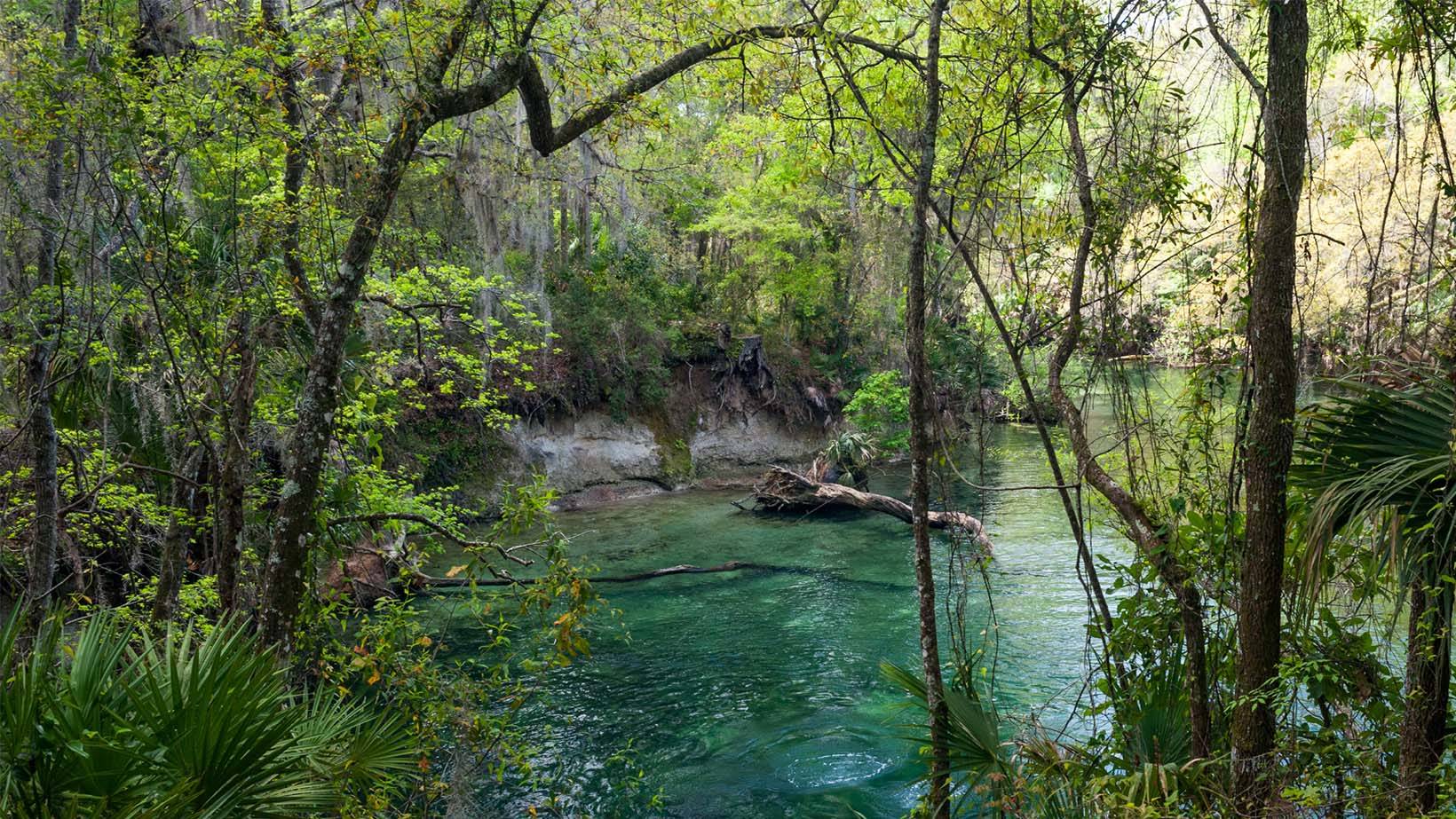 Blue Springs
