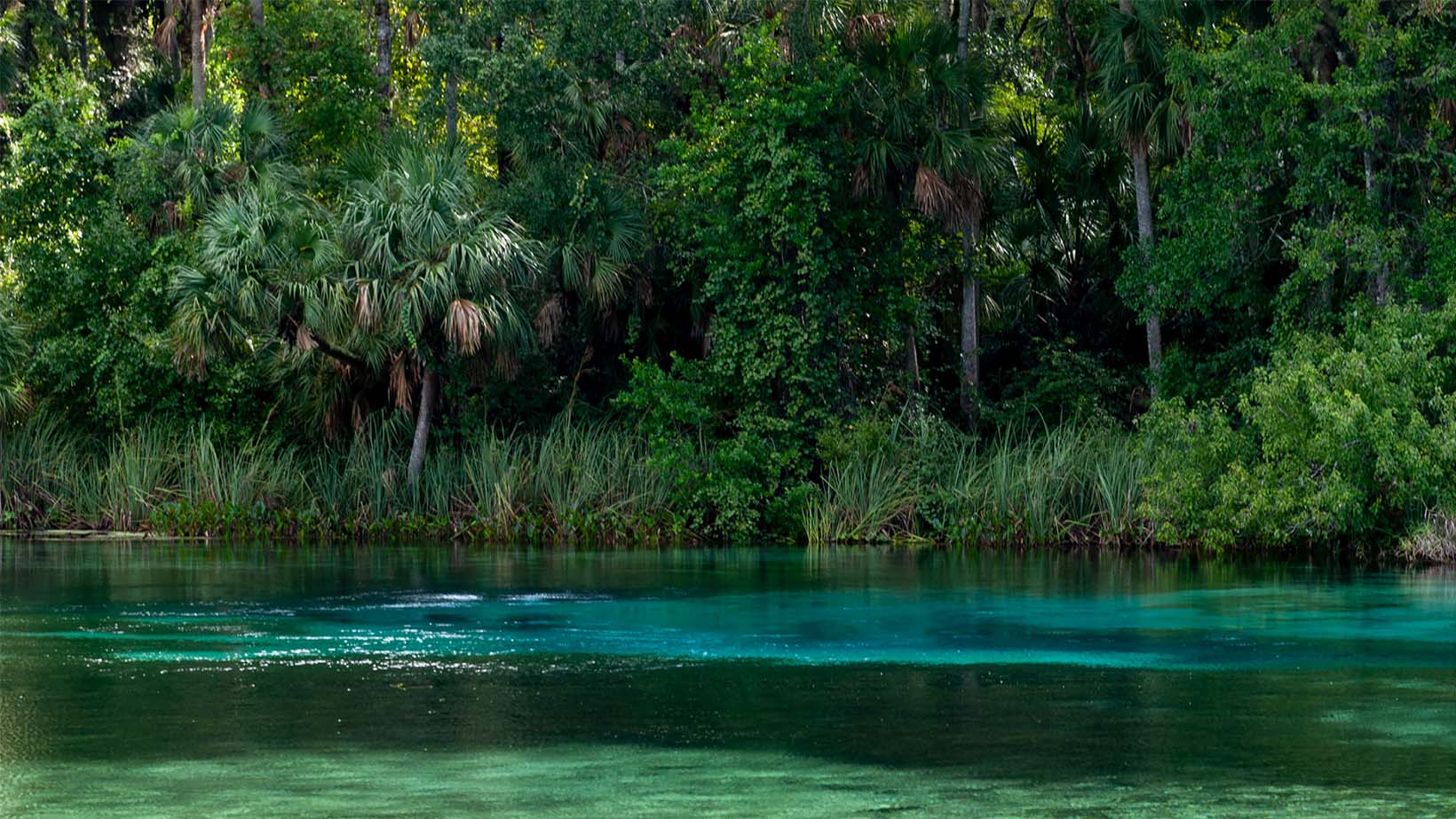 Alexander Springs