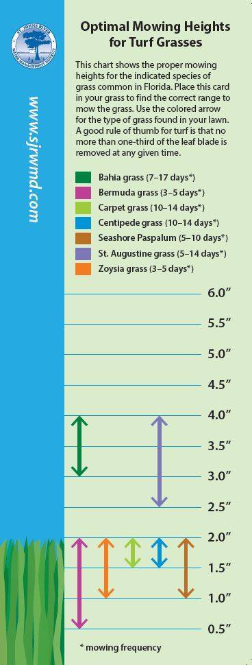 Turf grass ruler card