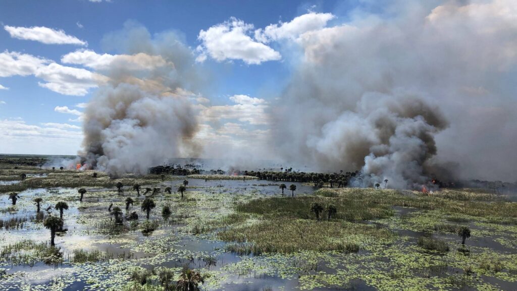 prescribed fire at Three Forks