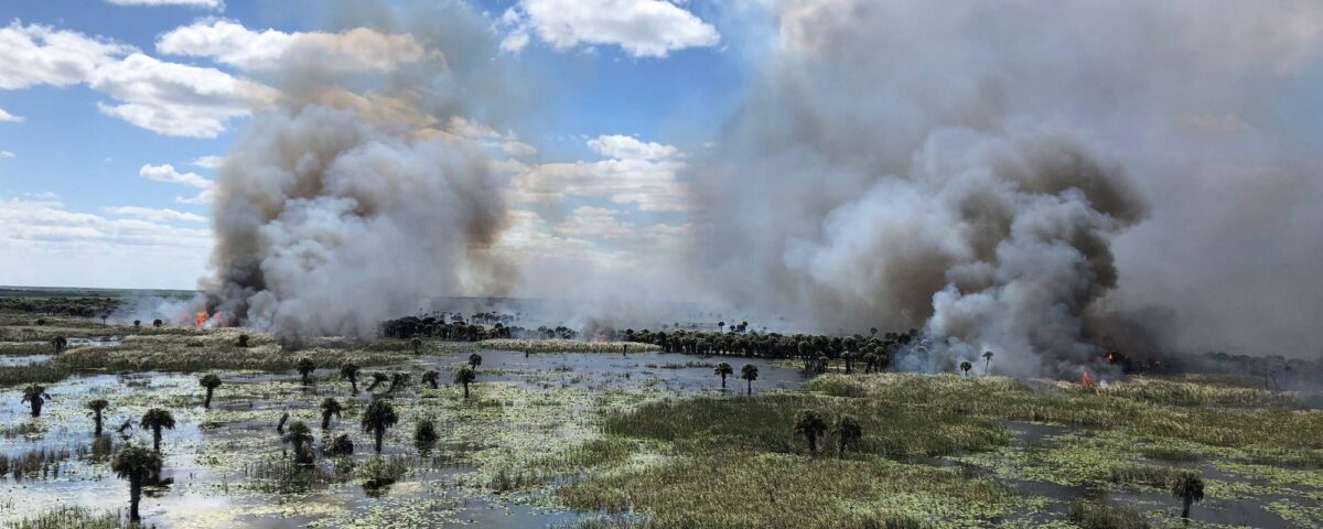 prescribed fire at Three Forks
