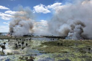prescribed fire at Three Forks