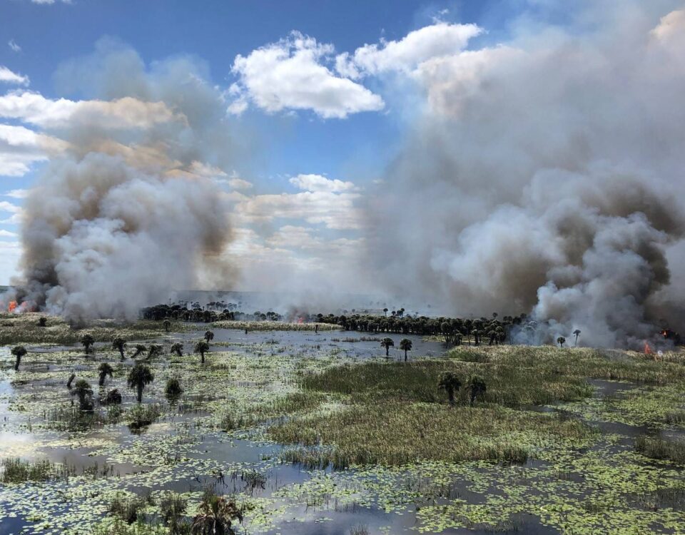 prescribed fire at Three Forks