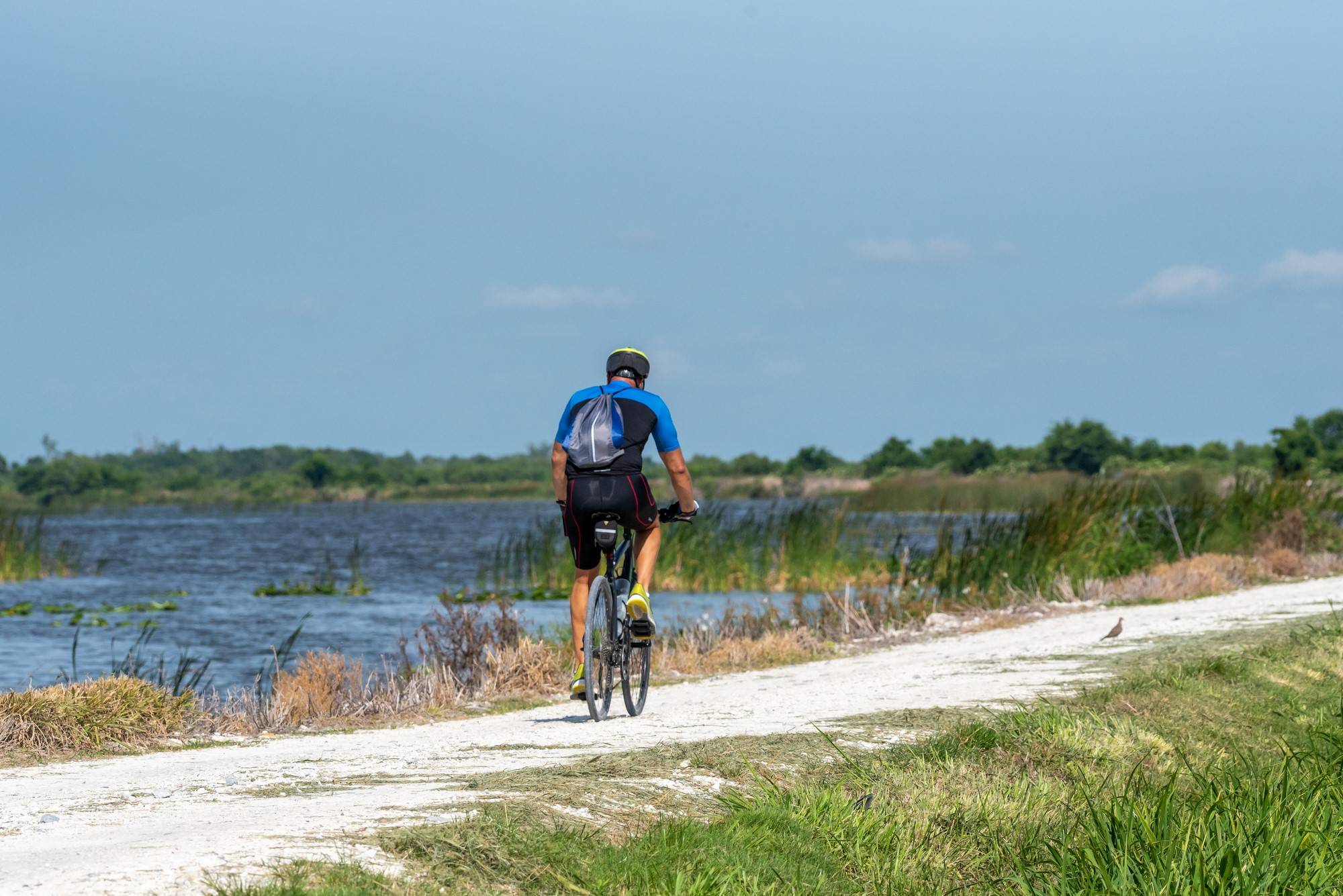 Man riding a bicycle on a trail