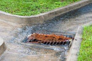 Storm drain filling with pine needles