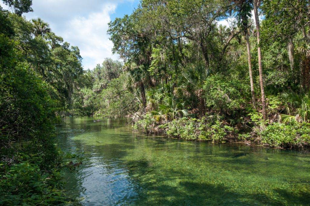 View of Blue Spring State Park