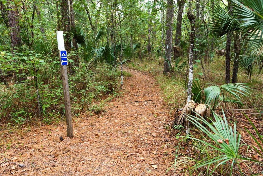 Wooded hiking trail entrance