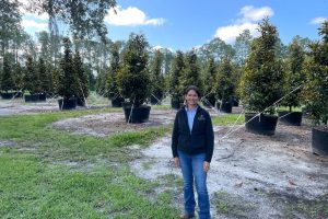 Tracy Rivera standing in a young grove