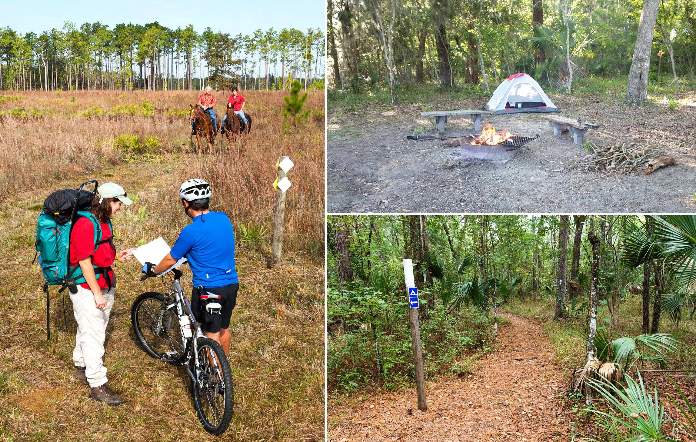 Collage showing 3 varieties or recreational opportunities