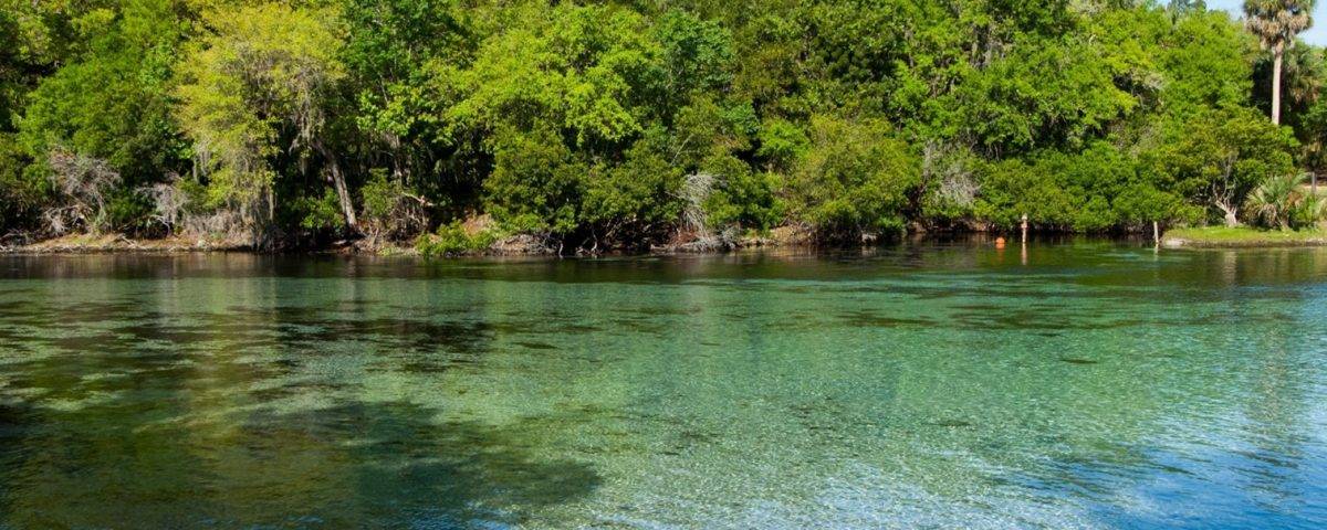 Clear spring water