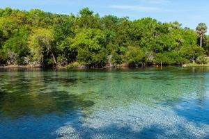 Clear spring water