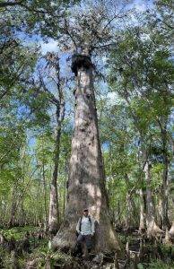 Man standing next to a large tree