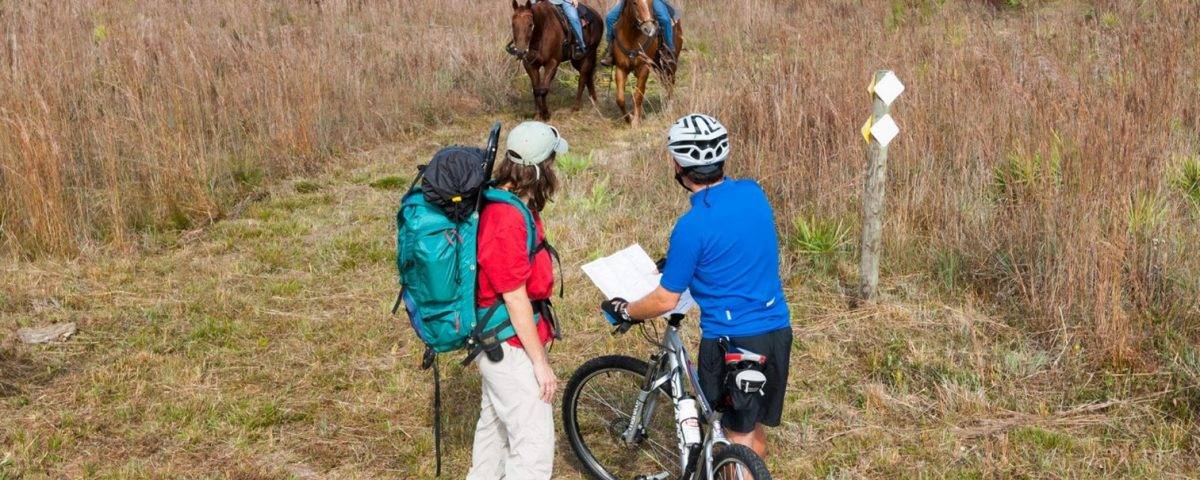 Two people horseback riding and others biking
