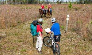 Two people horseback riding and others biking