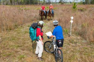 Two people horseback riding and others biking